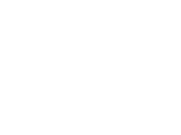 Lake Theater & Cafe